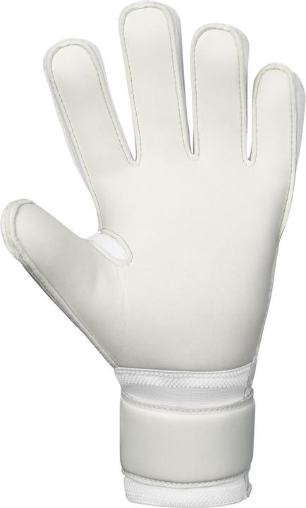 Produktbild JAKO TW-Handschuh Animal Basic RC (7)