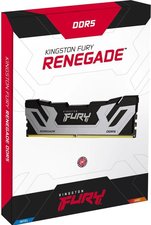 Image du produit Kingston FURY Renegade (2 x 24 Go, 4200 MHz, RAM DDR5, DIMM)