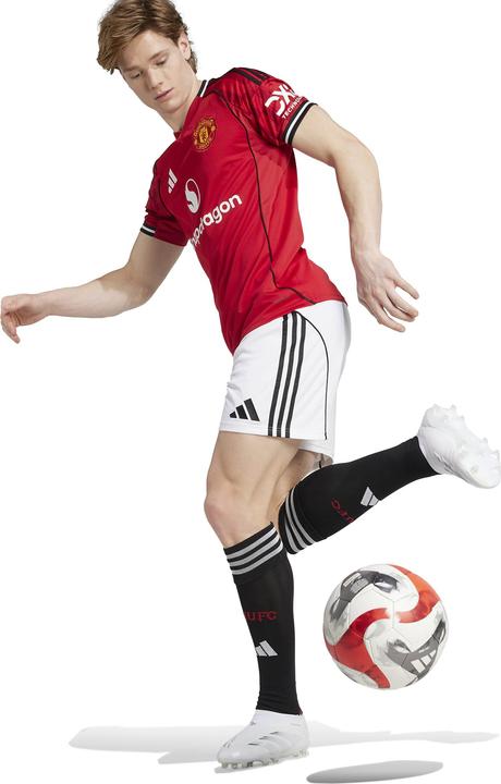 Actual product image adidas Manchester United Shorts (L)