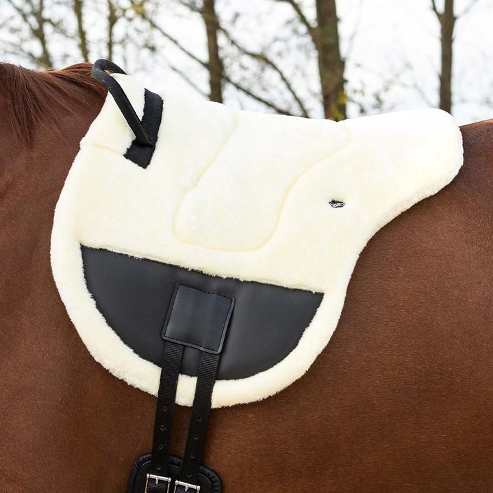 Image du produit Qhp tapis de monte à cru pour cheval ontario