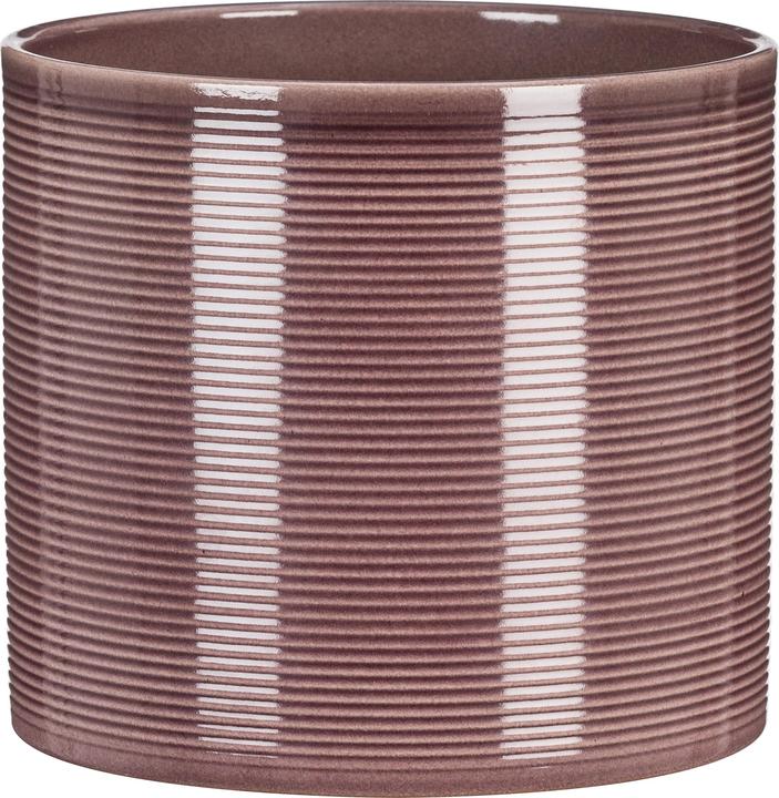 Produktbild Scheurich Aubergine (16 cm)