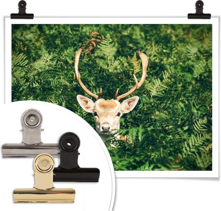 Actual product image Trenddeko Hide and seek in the forest (80 x 60 cm)