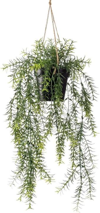 Productafbeelding Emerald Kunstpflanze (50 cm)