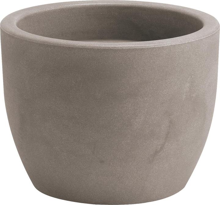 Giarnaldo Hera (50 cm)