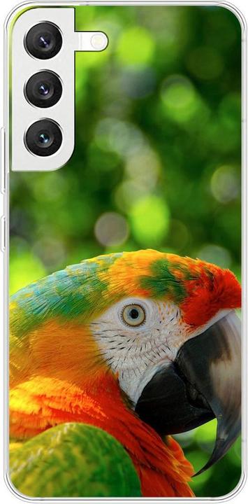 Parrot