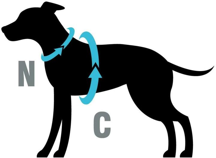 Produktbild Petlando Geschirr Y-Comfort Mesh, Schwarz (XS, Hund, Allgemein)