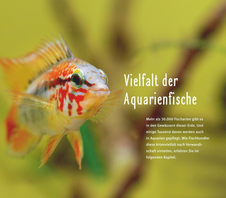 Produktbild Aquarienfische von A bis Z (Deutsch, Ulrich Schliewen, 2017)