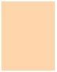 Actual product image Sisley Phyto Complexion Nude (0W Porcelaine)