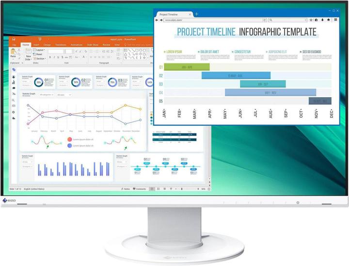 Eizo EV2460 FlexScan (1920 x 1080 pixels, 23.80")