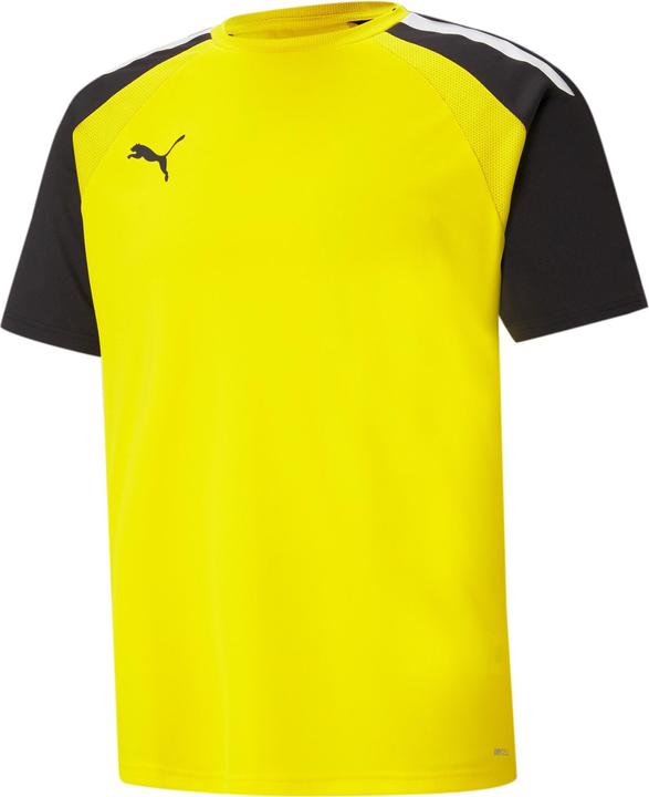 Black, White Yellow, Gold