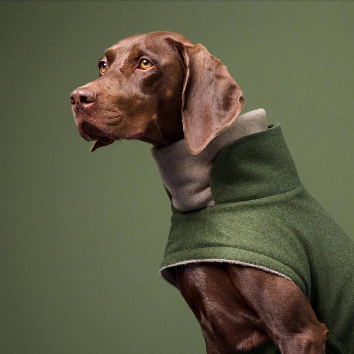 Produktbild Cloud 7 Hundemantel Brooklyn (2, Hundemantel)