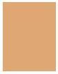 Image du produit MAC Cosmetics Studio Radiance Face And Body Radiant Sheer Foundation (C2)