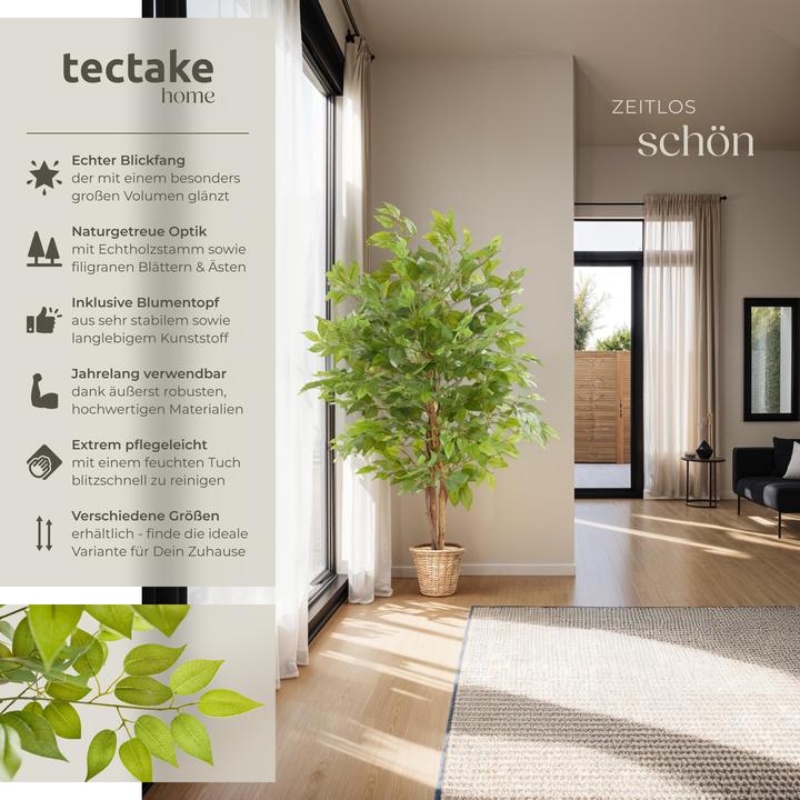 Produktbild tectake Ficusbaum Fida (120 cm)
