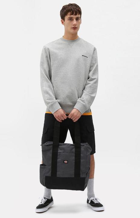 Produktbild Dickies Millerville Shorts (30)