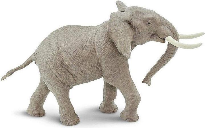Produktbild Safari Männlicher Afrikanischer Elefant