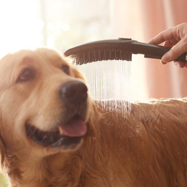 Image du produit hansgrohe DogShower Pommeau de douche pour chien 150 (3 jets) (3 Types de jets, 7.60 l/min)
