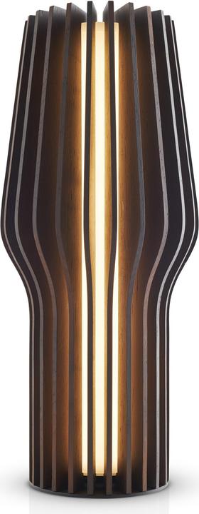 Eva Solo Radiant (135.75 lm)
