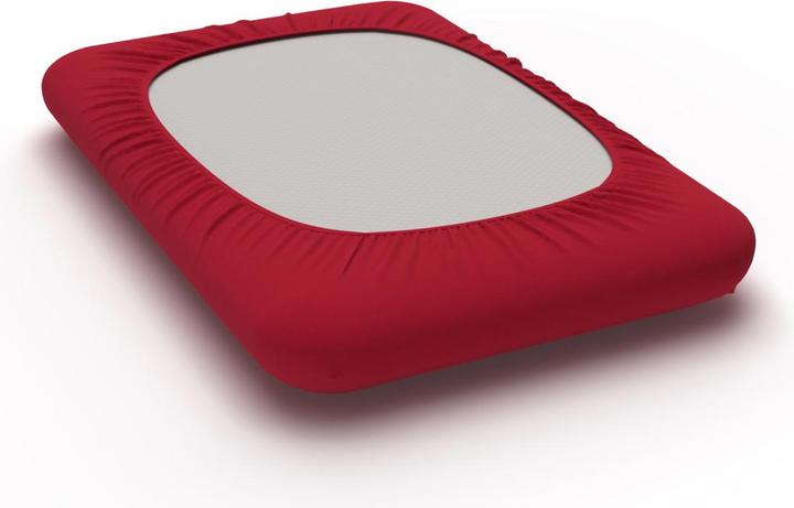 Image du produit Lotus Bettwaren Taie d'oreiller pour oreillers ergonomiques (Taie d'oreiller, 40 x 60 cm)