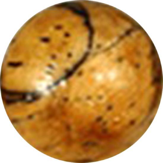 Star Piercing Kugel aus Tamarind Holz hell (Organisch, ohne Messing)
