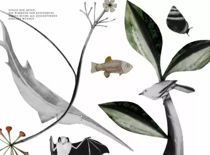 Image du produit Wunder der Natur (Allemand, Beatrice Forshall, 2023)