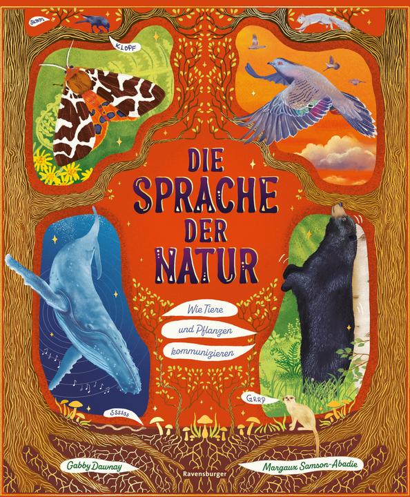 Actual product image Ravensburger Die Sprache der Natur - ein Sachbuch über Tiere und Pflanzen für Kinder ab 4 Jahre 48 zauberhafte (German, Gabby Dawnay, Karin Ehrhardt, Margaux Samson Abadie, 2025)