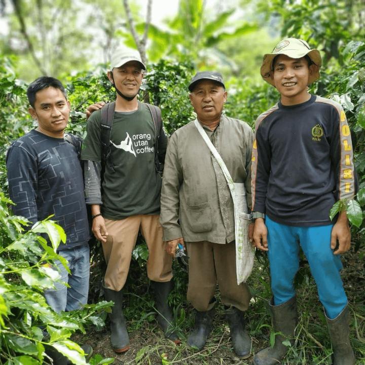 Produktbild Tropical Mountains Sumatra (100 x Port.)
