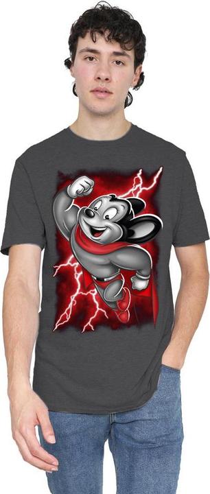 Produktbild Fruit of the Loom Mighty TShirt (L)
