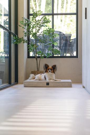 Productafbeelding Designed by Lotte Orthopedisch kooikussen Geribd (Hond)