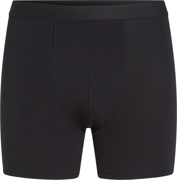Icebreaker Core Boxers (L)
