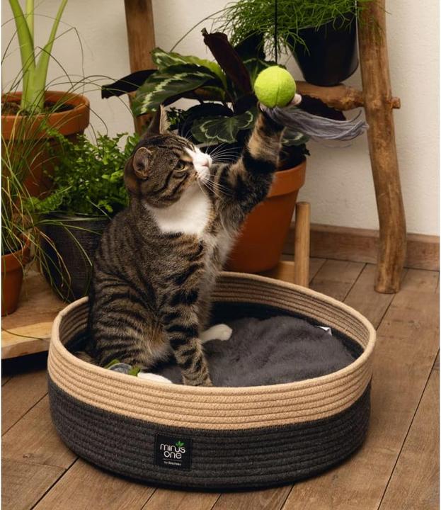 Image du produit Beeztees Xana (Chat)