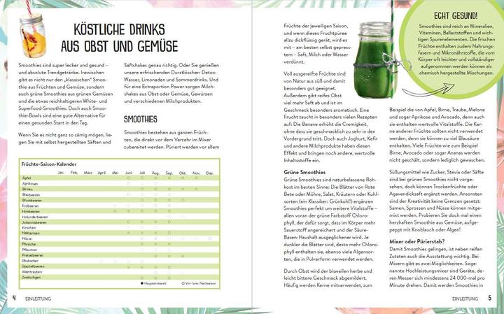 Nährwerte und Zutaten 365 Smoothies, Powerdrinks & Co (Deutsch, Naumann & Göbel Verlag, 2018)
