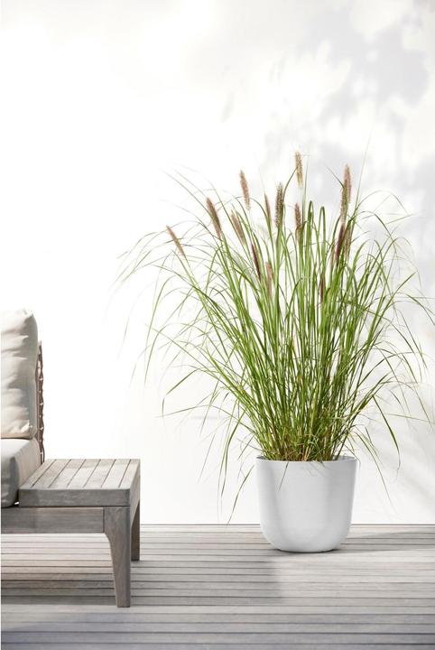 Produktbild Ecopots Oslo (25.25 cm)