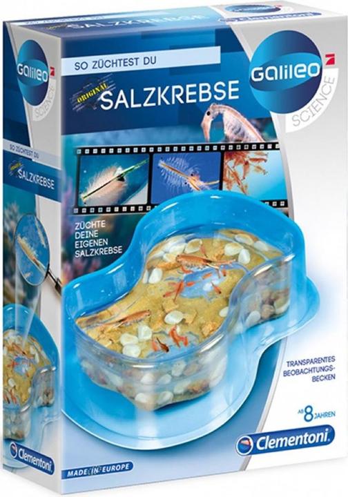 Produktbild Clementoni Galileo: So züchtest du Salzkrebse