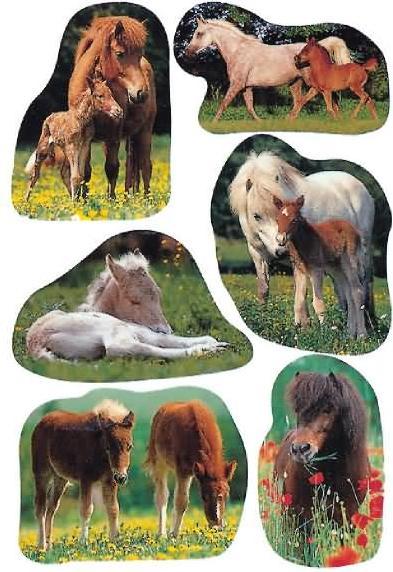 Actual product image HERMA Decor stickers
