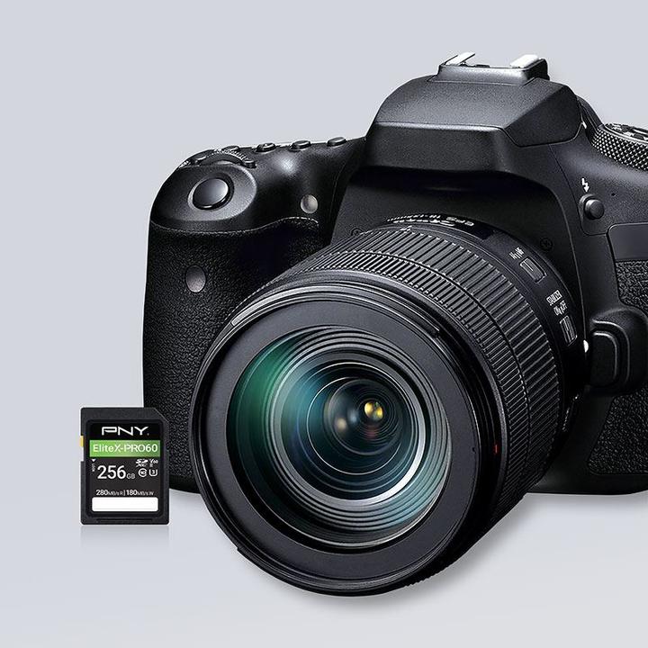 Produktbild PNY Elite X-Pro 60 (256 GB, SDXC, U3, UHS-II)