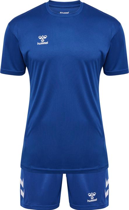 Vrai bleu