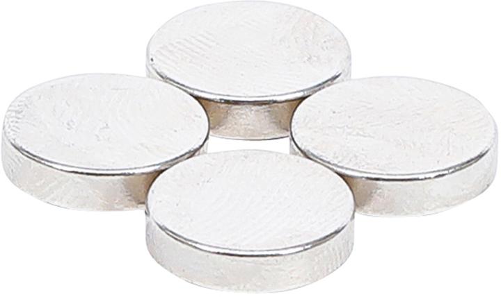 BGS Magnet-Satz (4 x)
