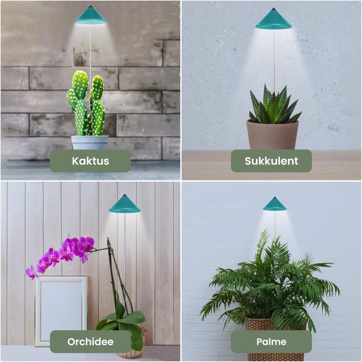 Actual product image Parus by Venso Sunlite (LED, 230 V)