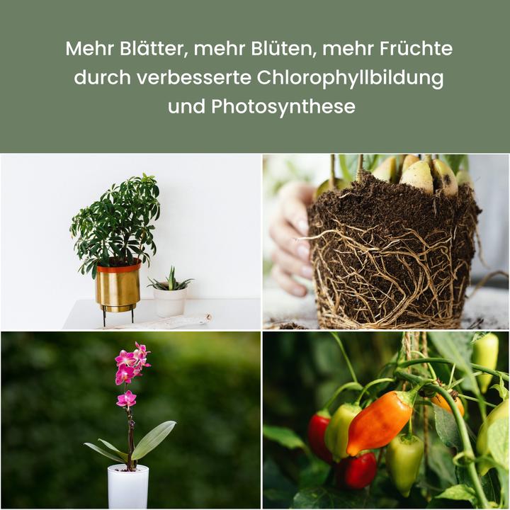 Produktbild Parus by Venso Sunlite XL 25 (LED, 220 V)