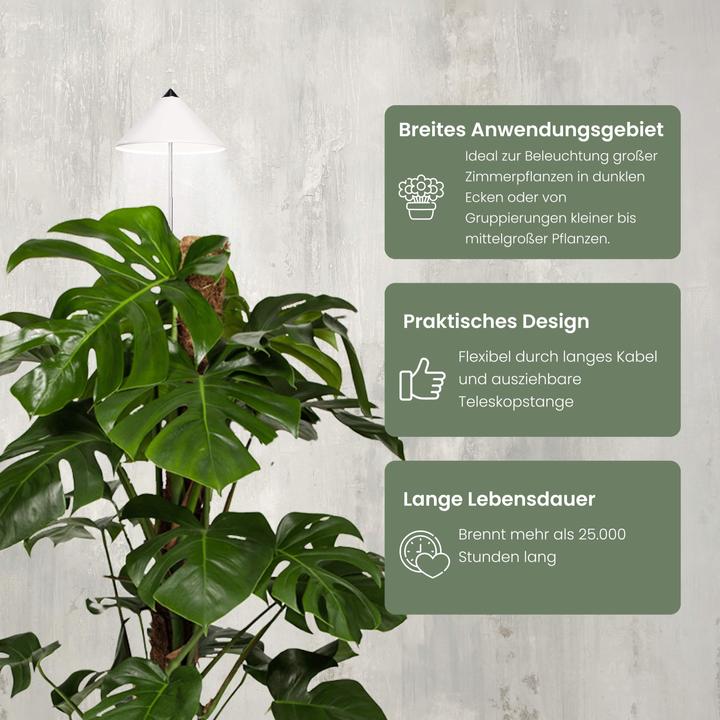 Produktbild Parus by Venso Sunlite XL 25 (LED, 220 V)