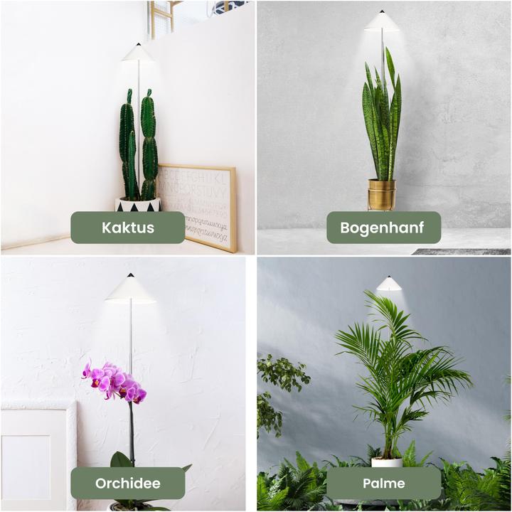 Produktbild Parus by Venso Sunlite XL 25 (LED, 220 V)
