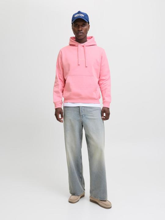 Actual product image Jack & Jones Kapuzenpullover Kapuzenpullover (L)