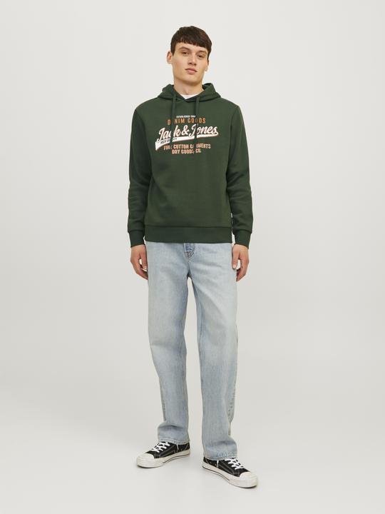 Actual product image Jack & Jones JJELOGO SWEAT HOOD 2 COL 24/25 NOOS (XS)