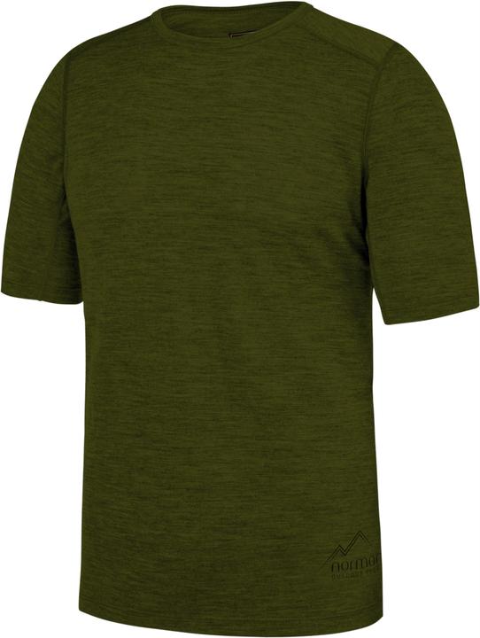 Actual product image Normani Herren Merino T-Shirt Darwin - 1585 (4XL)
