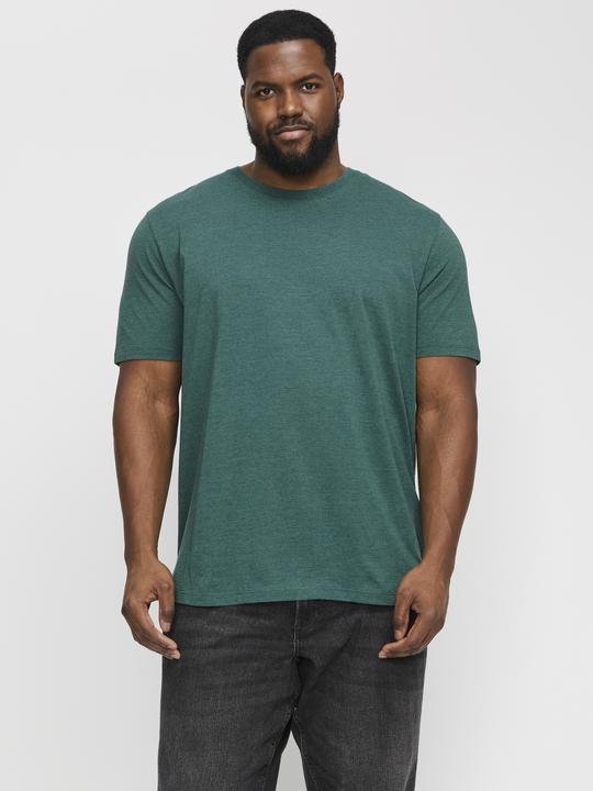 Produktbild Jack & Jones Jjeorganic Mel Tee Ss O-Neck Noos Pls (8XL)