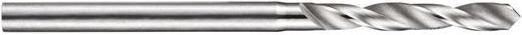 Immagine prodotto Dormer Punte a micro torsione DIN 1899 Tipo N A720 Ø nominale 0,28 mm Lunghezza spirale 2,2 mm HSS-E (0,28 millimetri)