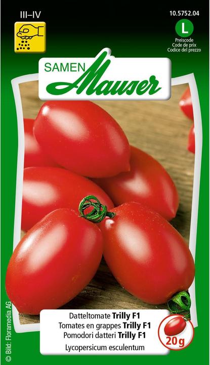 Samen Mauser Datteltomate Trilly F1 (Gemüsesamen)