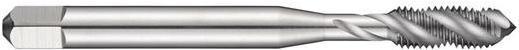 Image du produit Dormer Tarauds à machines -ISOC E621 EGM 5x0.8 mm HSS Blank 2XD 6H