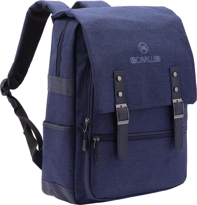 Actual product image B.Cavalli Bc1290 (5.16 l)