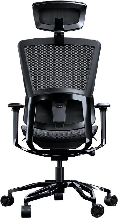 Actual product image Cougar Argo